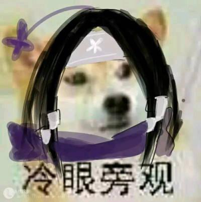 弟子梦到吃瓜,弟子奇梦吃瓜，揭秘神秘寓意